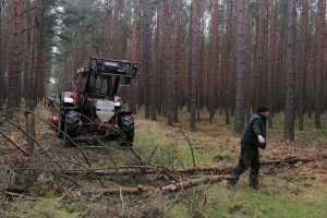 Prace gospodarcze w Kole Łowieckim DROP w Zielonej Górze - 06.03.2023r.